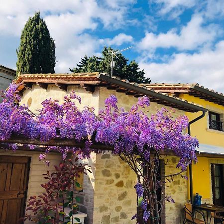 פרוג'ה Il Cortile Delle Rose Holiday House מראה חיצוני תמונה
